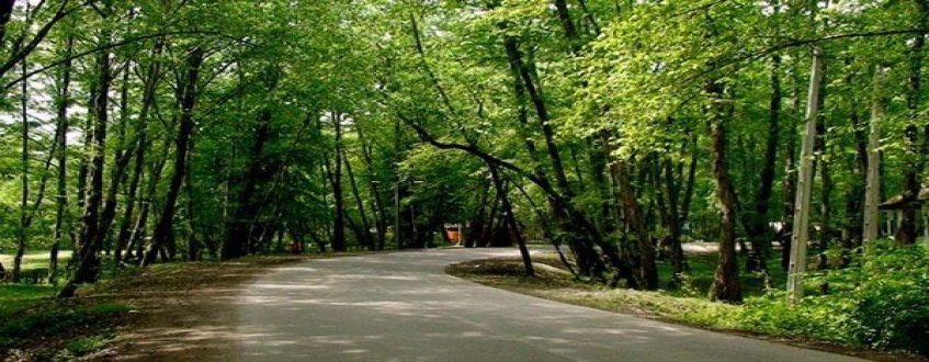 پارک جنگلی چیتگر در منطقه 22 تهران
